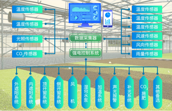 蜂窝物联助力校园智慧农业研学基地